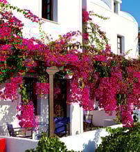 Anna Traditional Apartments - Καμάρι, Σαντορίνη
